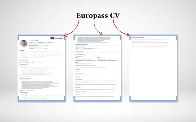 Professional CV & Cover Letter
